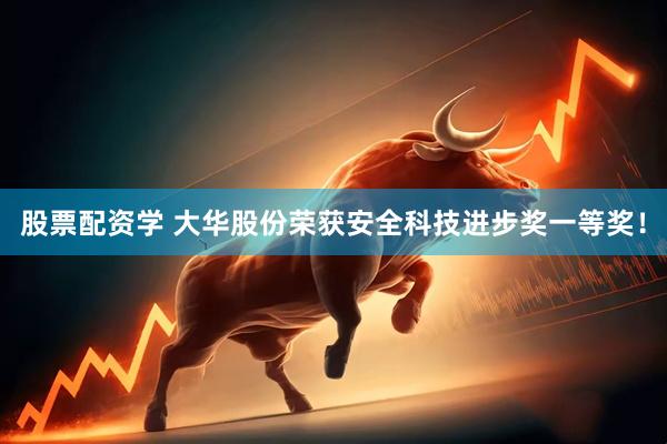 股票配资学 大华股份荣获安全科技进步奖一等奖！