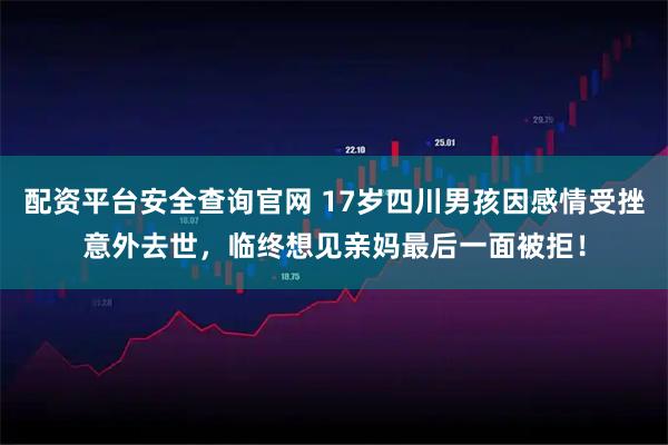 配资平台安全查询官网 17岁四川男孩因感情受挫意外去世，临终想见亲妈最后一面被拒！